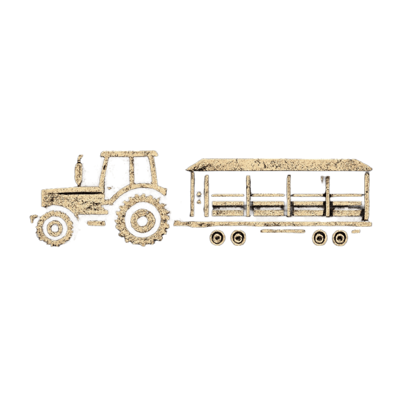The Wagon Enters the Show